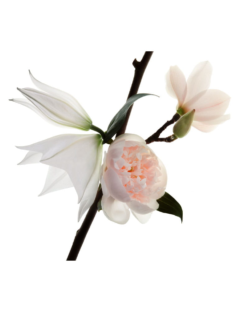 mon paris parfum floral eau de parfum in love collector